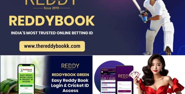 Insider Tips for Maximizing Your Experience on Reddy Book Live Platform