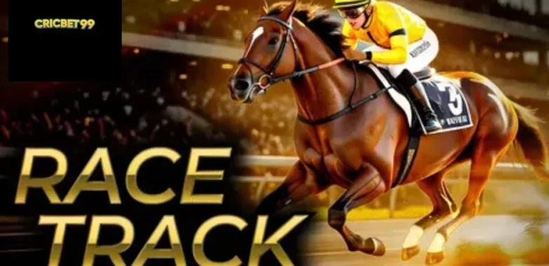 Essential Checklist to Maximize Your Experience on Cricbet99 Betting Platform