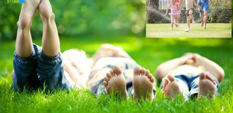 Effective Weed Control Treatments in San Antonio for a Healthier Lawn