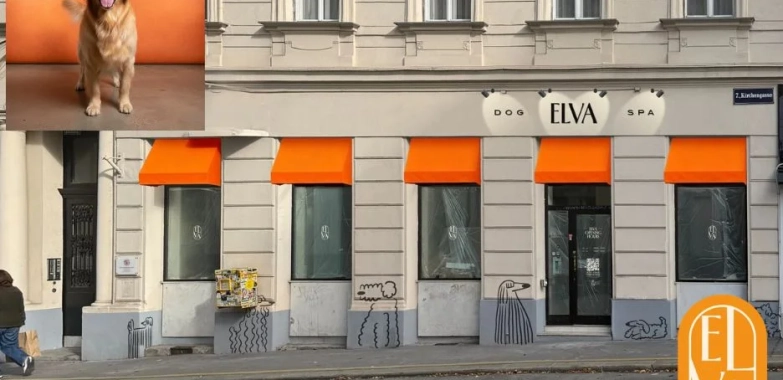 Stressfreier Hundesalon in Wien – Sanfte und professionelle Hundepflege bei Elva-dog.at