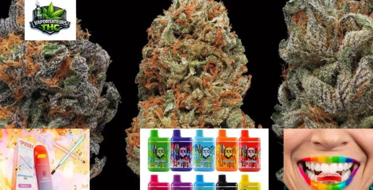 Produits comestibles THC France : achat en ligne discret et livraison fiable