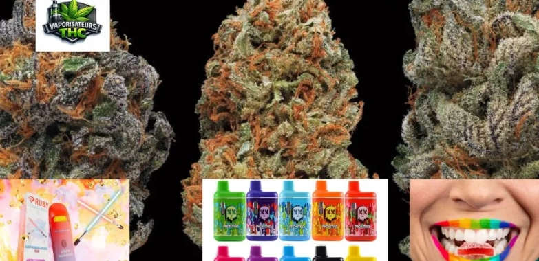 Produits comestibles THC France : achat en ligne discret et livraison fiable