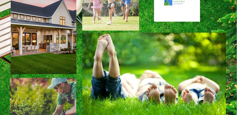 Effective Mosquito Control and Yard Protection Strategies for a Pest-Free Outdoor Space