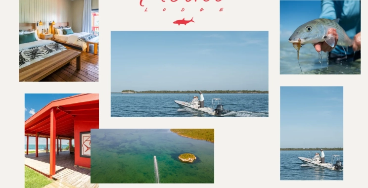 Top Luxury Fly Fishing Lodges in Bahamas for an Unforgettable Angling Experience
