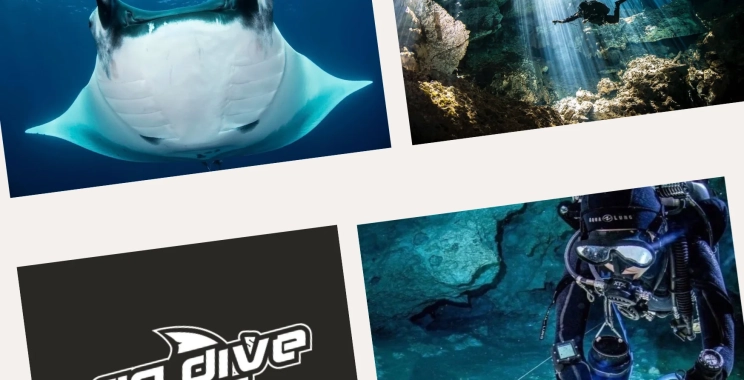 Ultimate Guide to Cenote Diving: Top Spots and Expert Tips for Divers