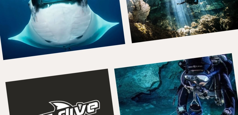 Ultimate Guide to Cenote Diving: Top Spots and Expert Tips for Divers