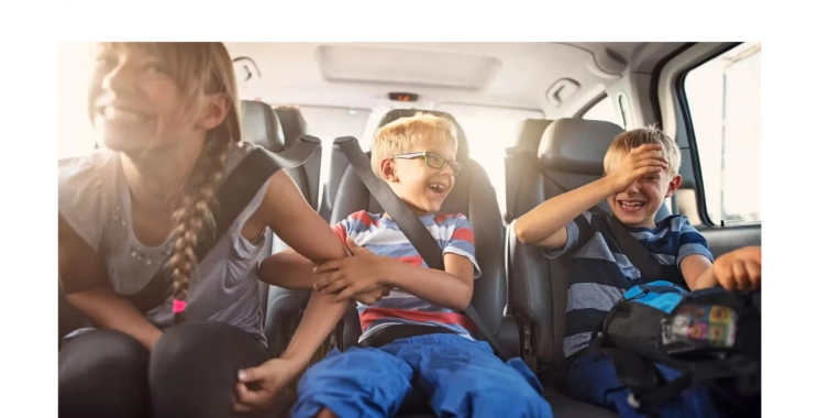 Professional Auto Detailing Services for a Sparkling Clean Vehicle