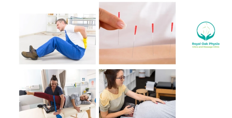Expert Physiotherapy Royal Oak Calgary for Injury Recovery and Pain Management