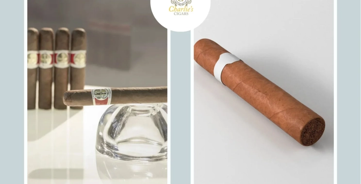 Top Cigar Shops in Mumbai for Premium Cuban, Dominican, and Hand-Rolled Cigars