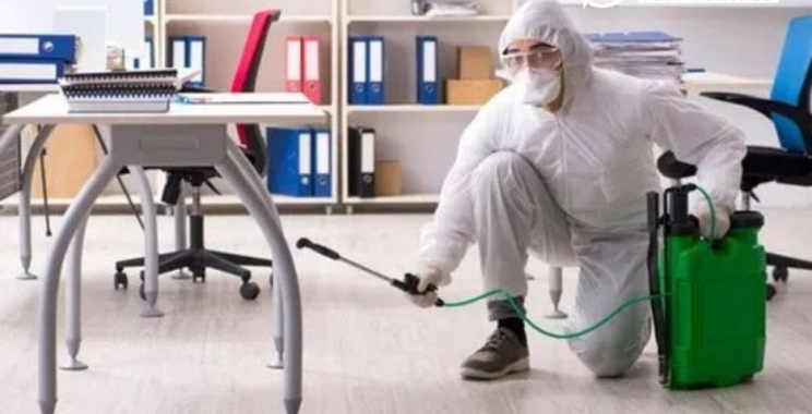 Effective Bed Bug Control: Quick, Safe & Local Pest Solutions