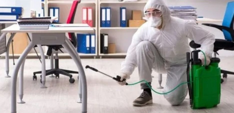 Effective Bed Bug Control: Quick, Safe & Local Pest Solutions