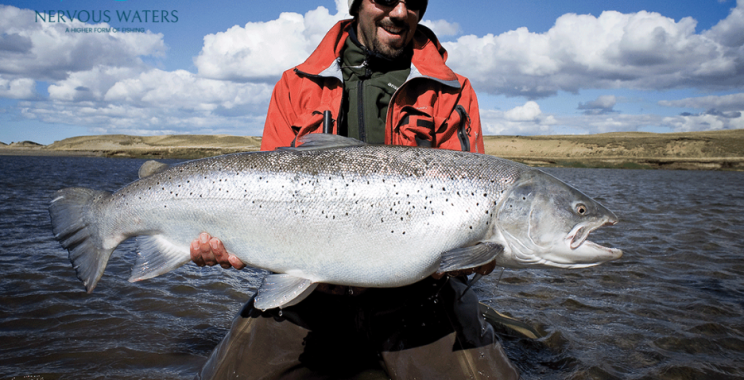 Chase the Mighty Permit in Mexico: Expert Guide & Best Spots